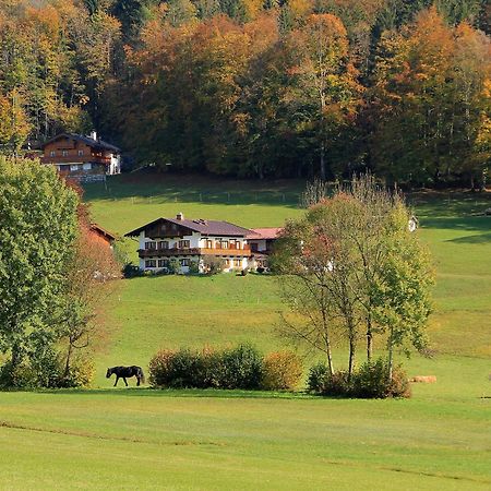 Schönau am KönigsseeObergoebllehenアパートメント エクステリア 写真
