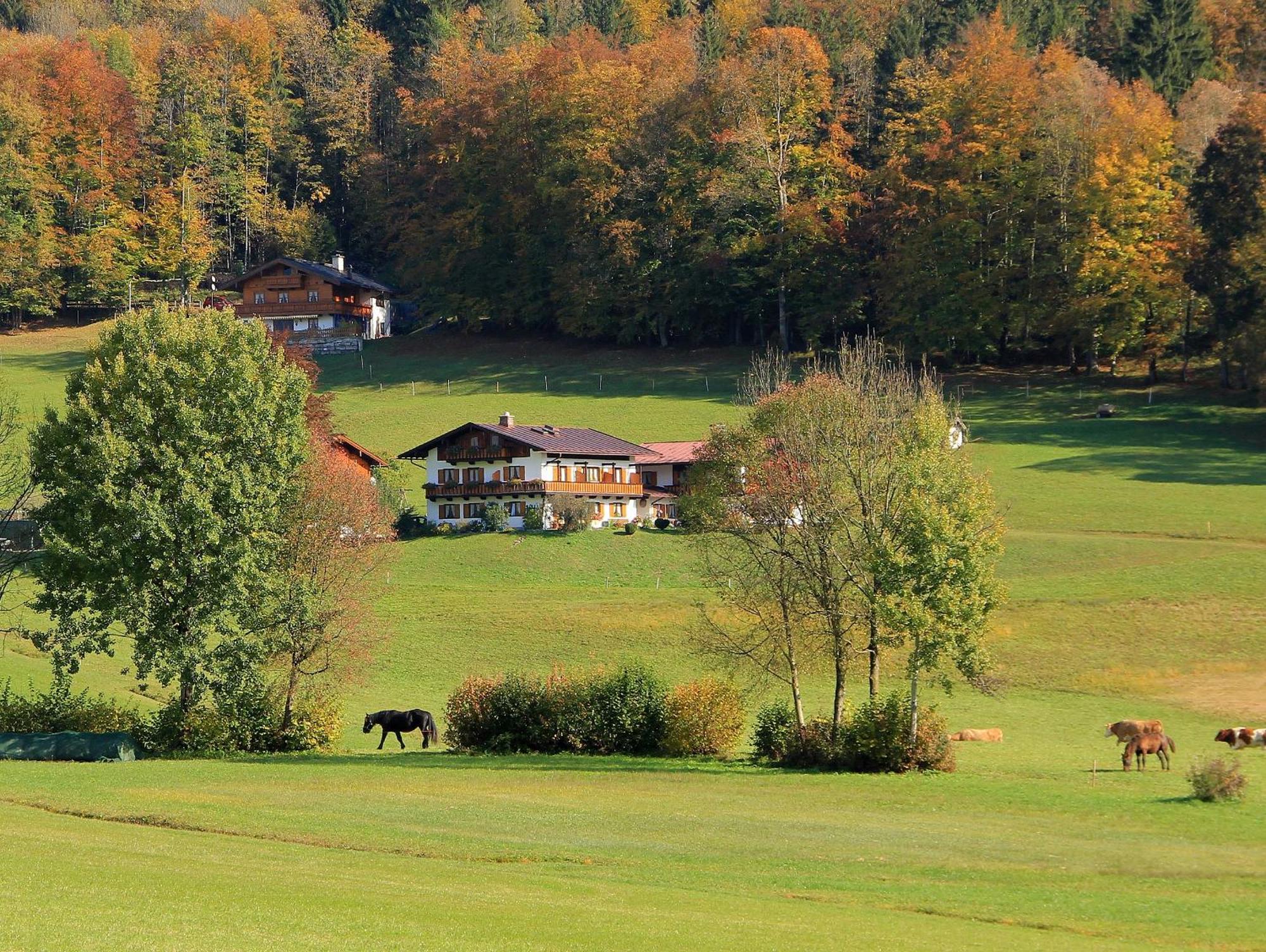 Schönau am KönigsseeObergoebllehenアパートメント エクステリア 写真